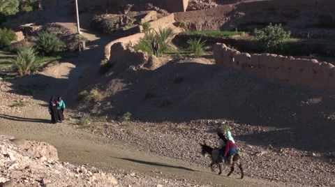 Child on a Donkey returning some hay in Morocco Stock Footage 52896923