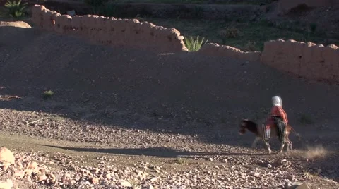 Child on a Donkey returning some hay in Morocco Stock Footage 52924934
