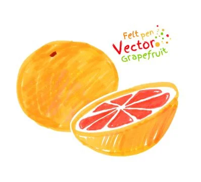 Child drawing of grapefruit Stock Illustration