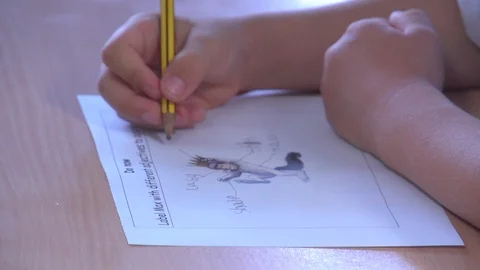 Child draws at school Stock Footage 103326936