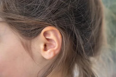 Child ear close-up 库存照片