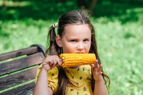 A child is an ear of corn. Yellow corn and a child in a yellow dress in the p Stock Photos