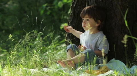 Child eating a cookie Video stock 51004608