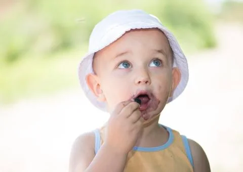 Child eating mulberries Stock Photos