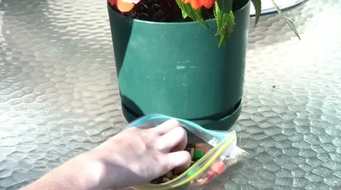 Child Eating Snack in Sun 스톡 동영상 65745647
