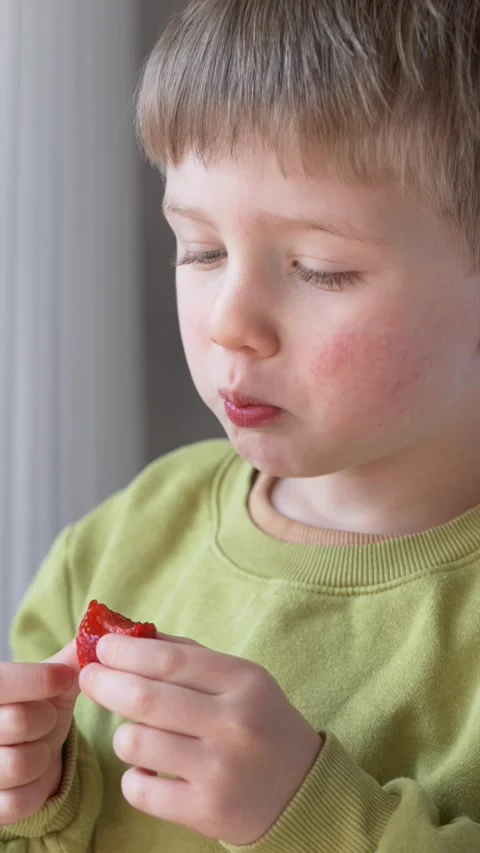 Child eating strawberry with red cheeks showing possible food allergy reaction Stock Footage 330973580