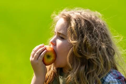 The child eats an apple. Ripe fruit for kids. Kid bites apple. The boy enjoys Stock Photos