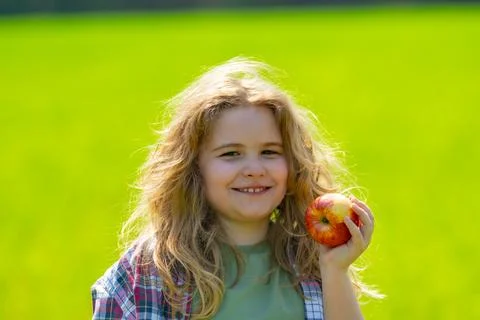 The child eats an apple. Ripe fruit for kids. Kid bites apple. The boy enjoys Stock Photos