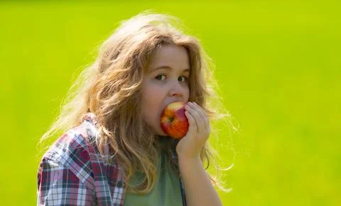 The child eats an apple. Ripe fruit for kids. Kid bites apple. The boy enjoys Stock Photos