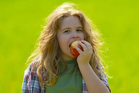 The child eats an apple. Ripe fruit for kids. Kid bites apple. The boy enjoys Stock Photos