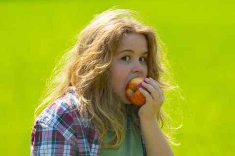 The child eats an apple. Ripe fruit for kids. Kid bites apple. The boy enjoys Stock Photos