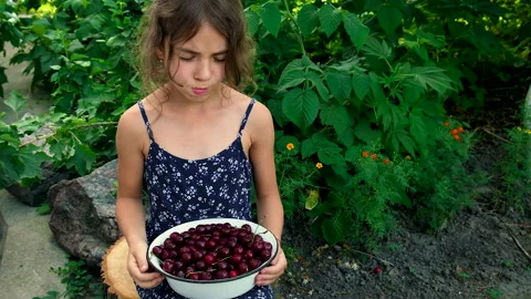 The child eats cherries in the garden. Selective focus. Stock Footage 157044202