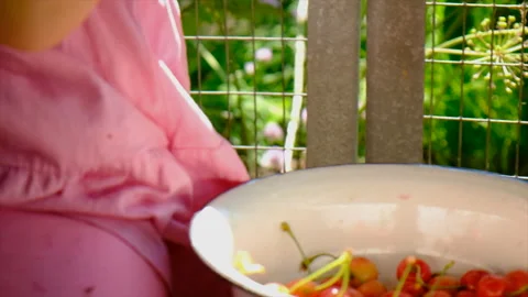 The child eats cherries in the garden. Selective focus. Stock Footage 199044977