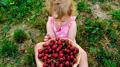The child eats cherries in the garden. Selective focus. Stock Footage 219953581