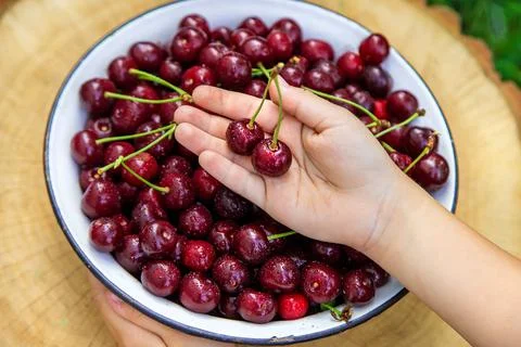 The child eats cherries in the garden. Selective focus. Stock Photos