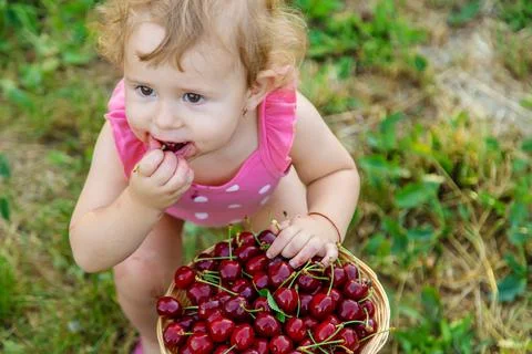 The child eats cherries in the garden. Selective focus. Stock Photos