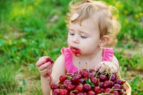 The child eats cherries in the garden. Selective focus. Stock Photos