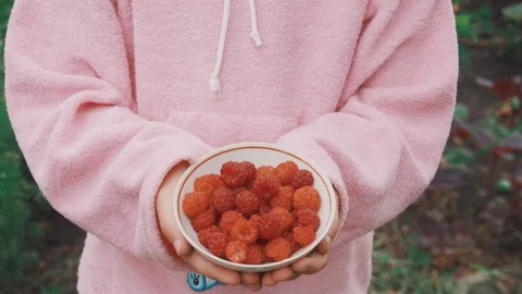 Child eats fresh berries in the garden in summer Stock Footage 111639366