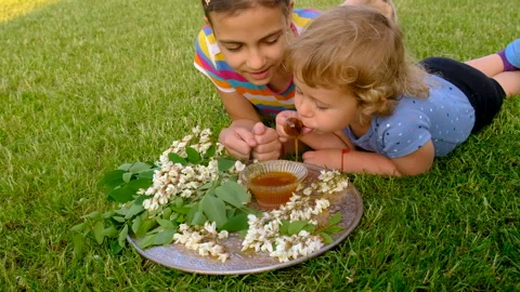 A child eats honey from an acacia tree in the garden. Selective focus. Stock Footage 243259023