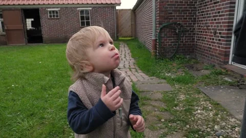 Child eats with pleasure in the backyard Stock Footage 305051662