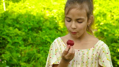 The child eats strawberries in the garden. Selective focus. Stock Footage 155969922