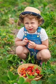 A child eats strawberries in the garden. Selective focus. Foto stock