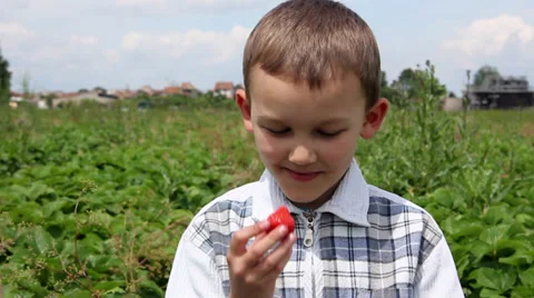 Child eats strawberry Stock Footage 39131658