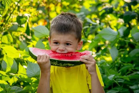 The child eats watermelon in the summer. Selective focus Stock Photos