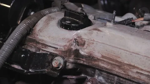 Child engine washing engine cleaning car engine Stock Footage 132087789