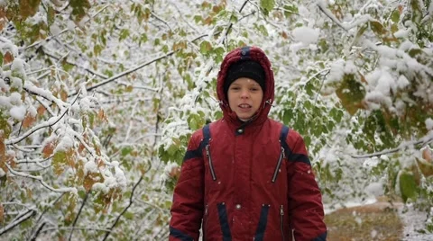 The child enjoys the falling snow from the trees in the park Vidéo 68403427