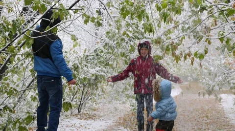 The child enjoys the falling snow from the trees in the park Vidéo 68432763