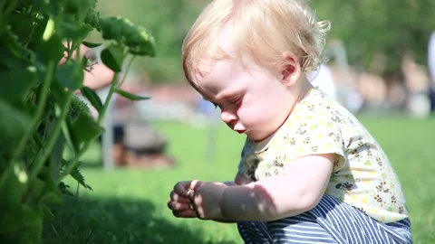 Child explorer Stock Footage 137169119