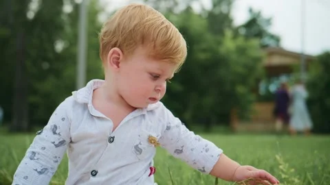 Child explores grass, head down, in sunlit garden Видео 348269032