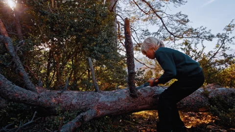 Child explores nature while playing on a fallen tree in Pyrenees, Spain Stock Footage 300390790