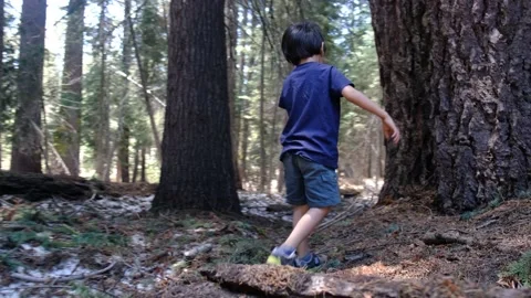 Child explores walks through forests yosemite national park and  redwoods Stock Footage 232167423