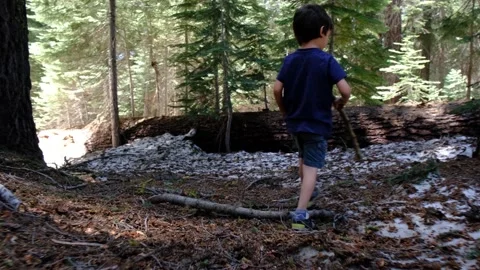Child explores walks through forests yosemite national park and  redwoods Stock Footage 232167595