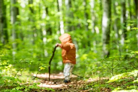 Child exploring green forest with walking stick Stock Photos