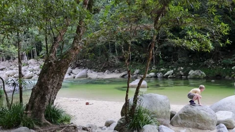 Child Exploring Mossman Gorge by the River Vídeos de archivo 312041883