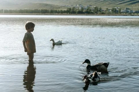 Child Exploring Nature and Learning Through Outdoor Play by the Lake Stock Photos