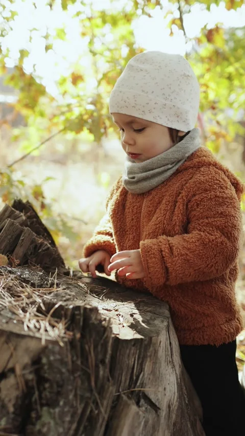 A Child Exploring Nature on a Stump Surrounded by Beautiful Autumn Foliage and Video stock 308458000