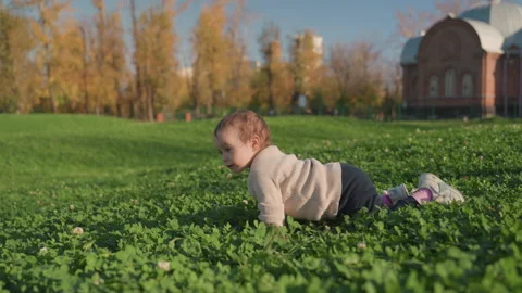 Child exploring outdoors. Young child journeying through nature. Infant 動画素材 334627636