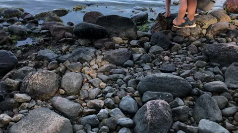 A child exploring on a rocky seaside in the evening sun Stock Footage 169353525
