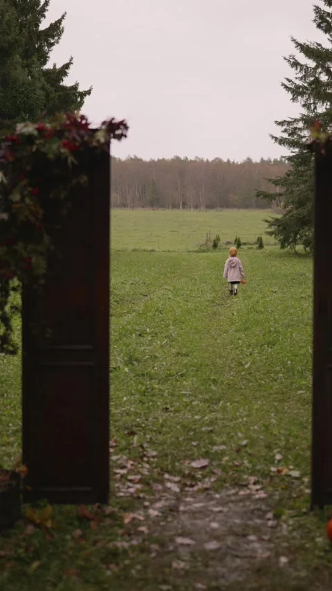 Child exploring a wide green field through open doors on a cloudy day Stock Footage 318160841