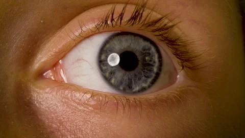 Child eye close up with iris and pupil moving in macro view Stock Footage 340105388