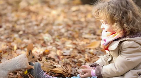 Child feeds a little squirrel Stock Footage 27486071