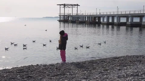 A child feeds seagulls on the seashore Stock Footage 307385398