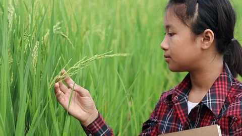 Child in field 02 스톡 동영상 106499076