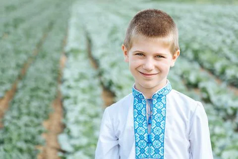 Child in a field of cabbage Stock Photos