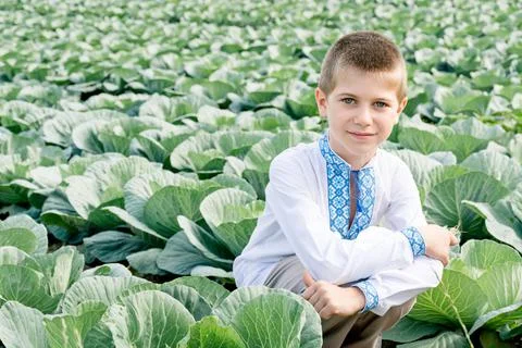 Child in field with cabbage Stock Photos