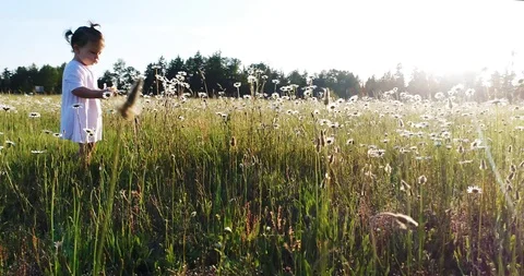 Child in a field with flowers Stock Footage 110293583